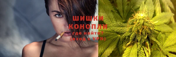 прущие крисы Зеленокумск