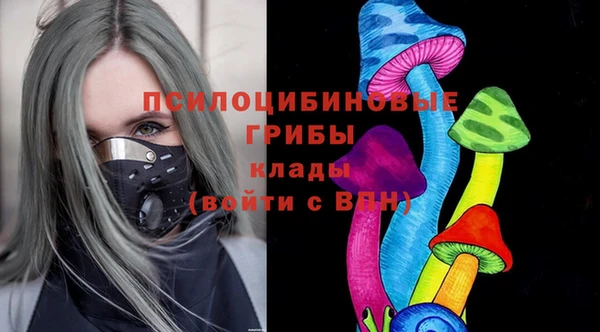 прущие крисы Зеленокумск